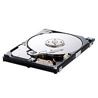 Samsung 80GB Serial ATA II HDD (HM080JI)